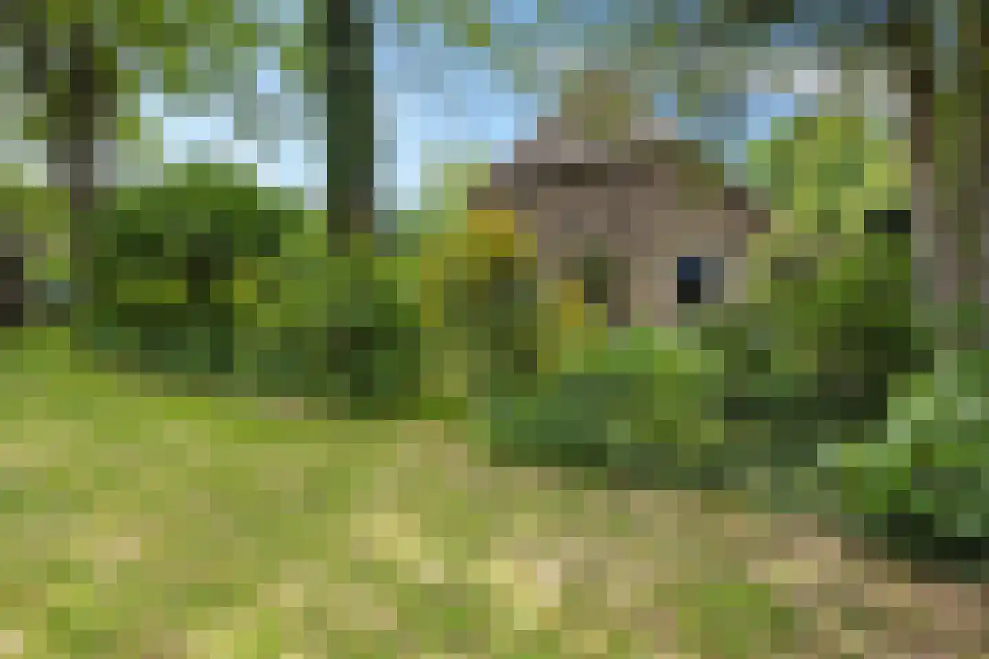 Hagenend 2 Anderen thumbnail 47