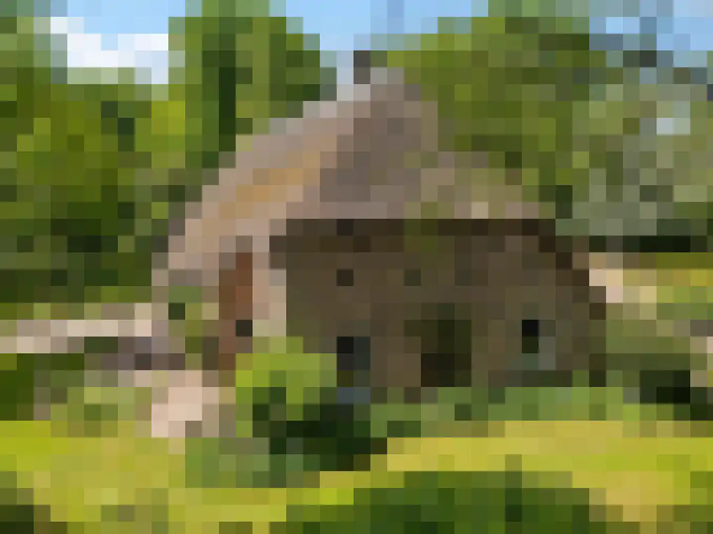 Hagenend 2 Anderen thumbnail 48