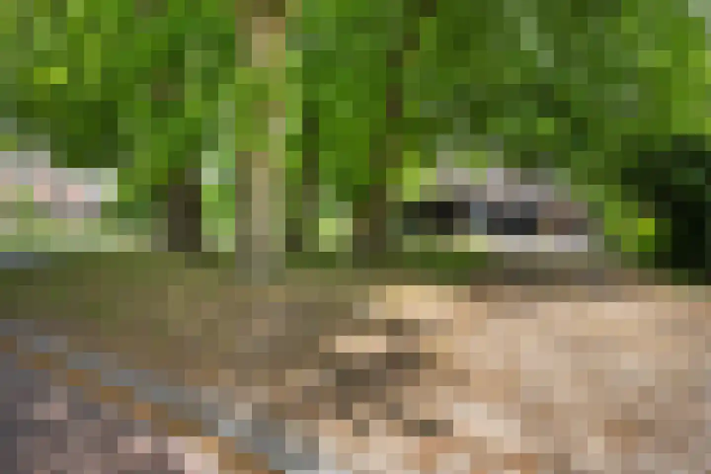 Hagenend 2 Anderen thumbnail 5