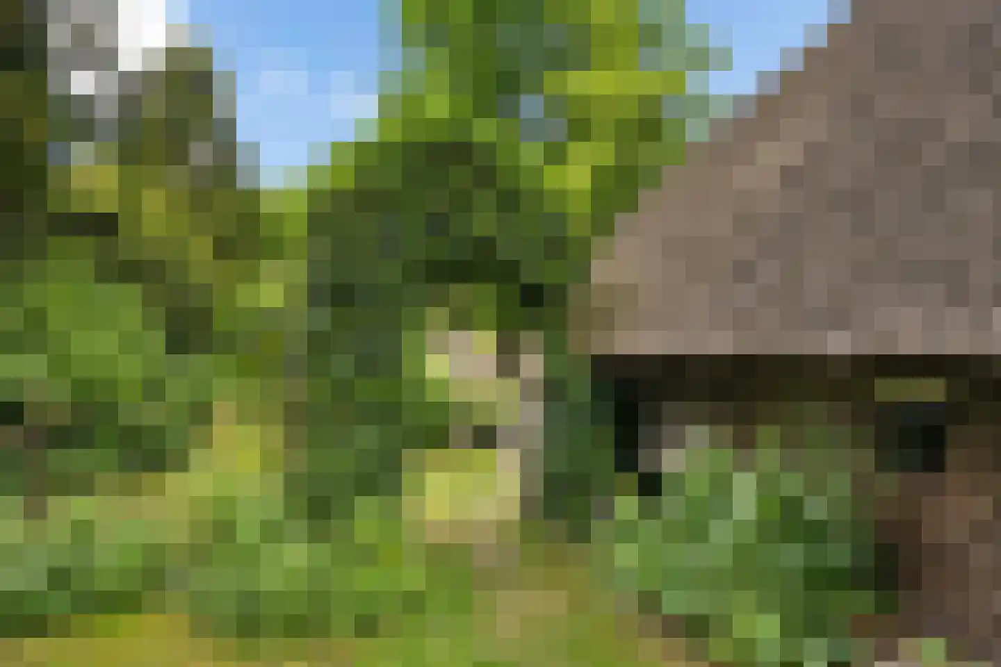 Hagenend 2 Anderen thumbnail 53