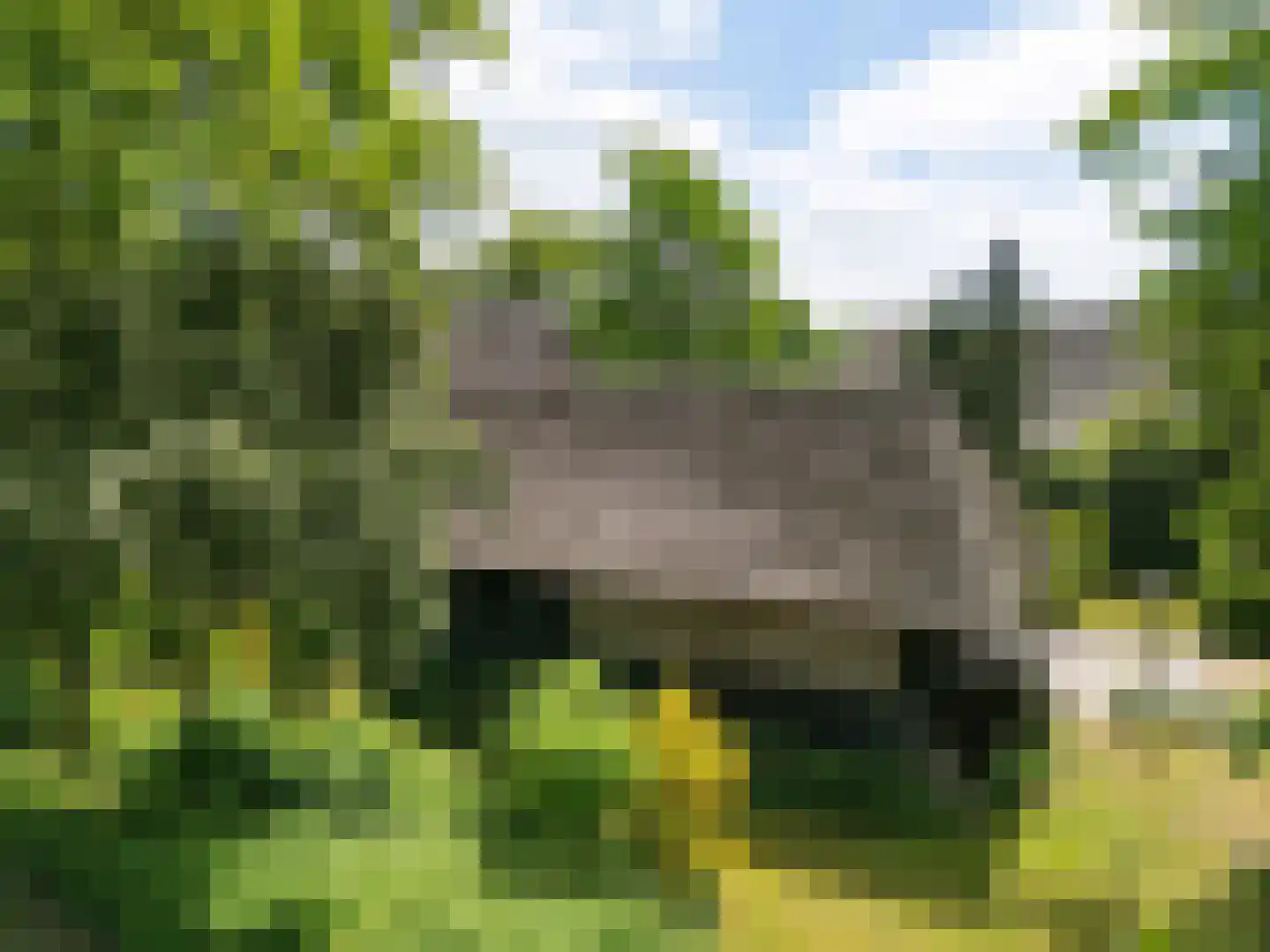 Hagenend 2 Anderen thumbnail 60