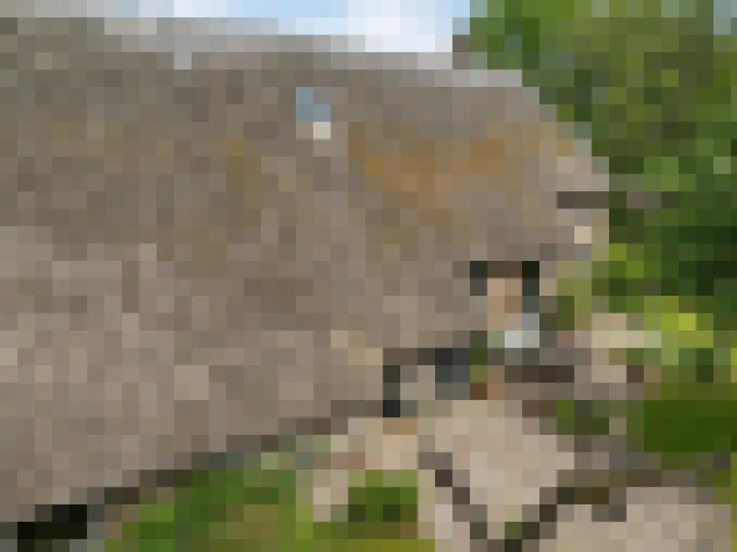 Hagenend 2 Anderen thumbnail 61