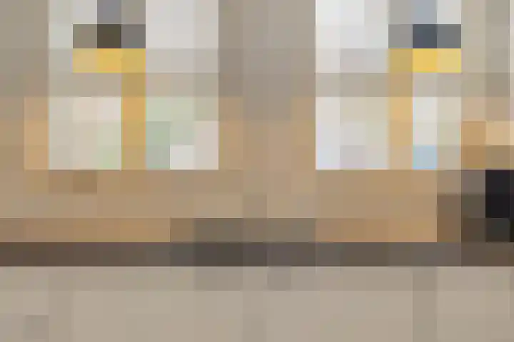 Hagenhof 3 Gemert thumbnail 10