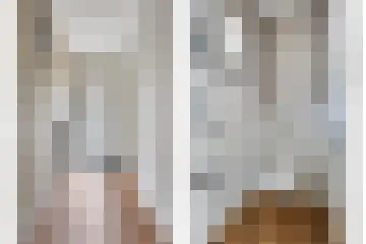 Hagenhof 3 Gemert thumbnail 11