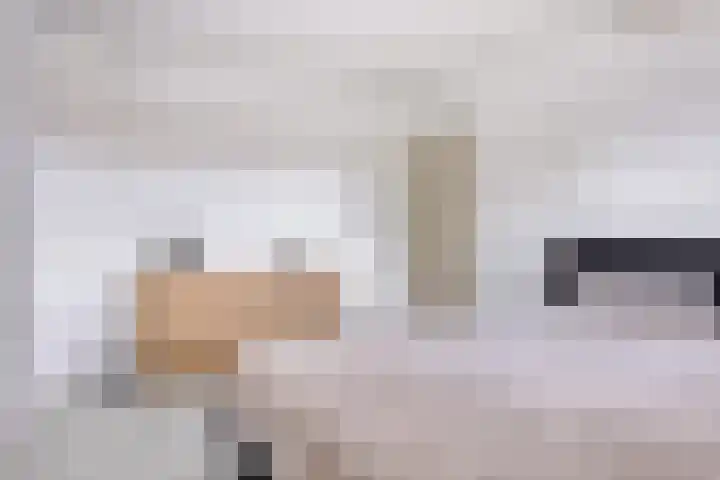 Hagenhof 3 Gemert thumbnail 14