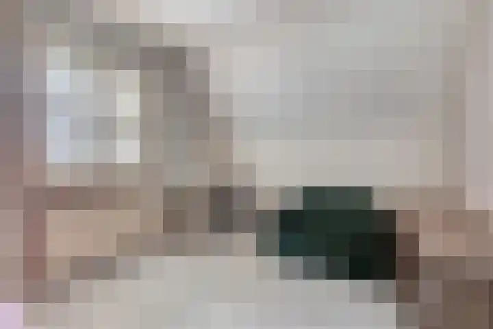 Hagenhof 3 Gemert thumbnail 17