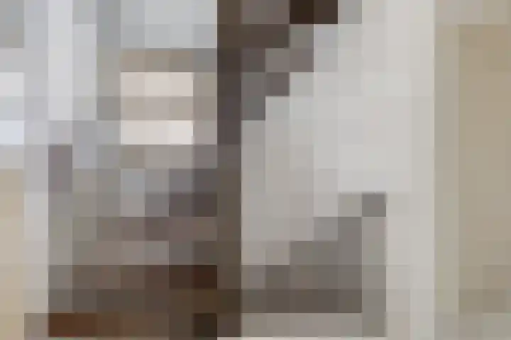 Hagenhof 3 Gemert thumbnail 20