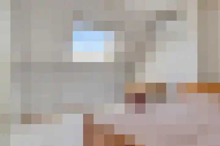 Hagenhof 3 Gemert thumbnail 21