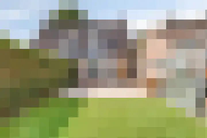 Hagenhof 3 Gemert thumbnail 24