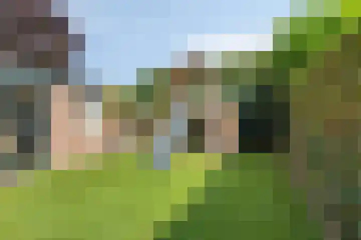 Hagenhof 3 Gemert thumbnail 25
