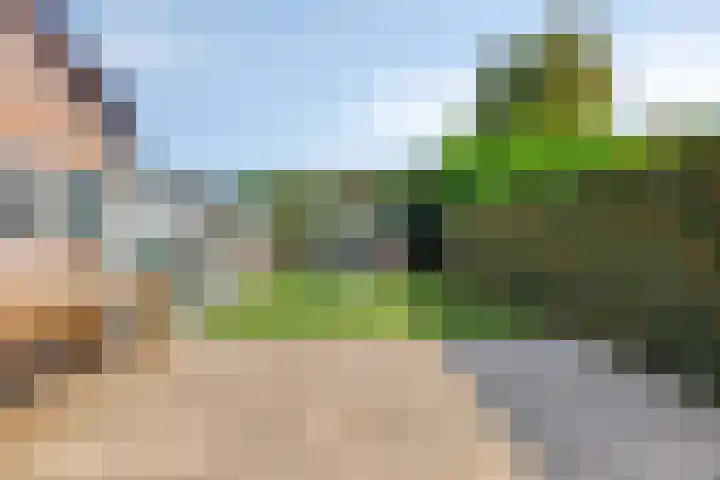 Hagenhof 3 Gemert thumbnail 26