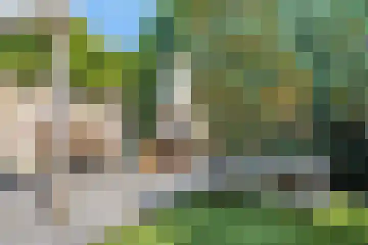 Hagenhof 3 Gemert thumbnail 27