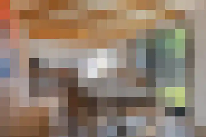 Hagenhof 3 Gemert thumbnail 28