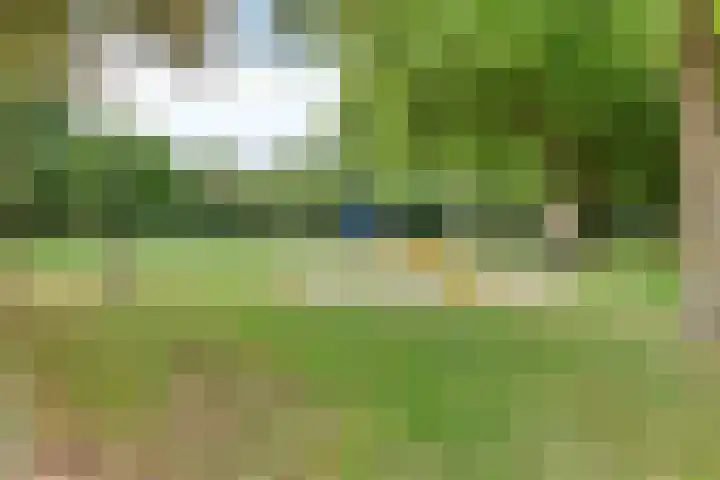 Hagenhof 3 Gemert thumbnail 30