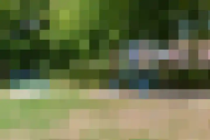 Hagenhof 3 Gemert thumbnail 31