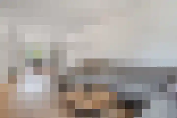 Hagenhof 3 Gemert thumbnail 4