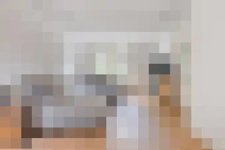 Hagenhof 3 Gemert thumbnail 5