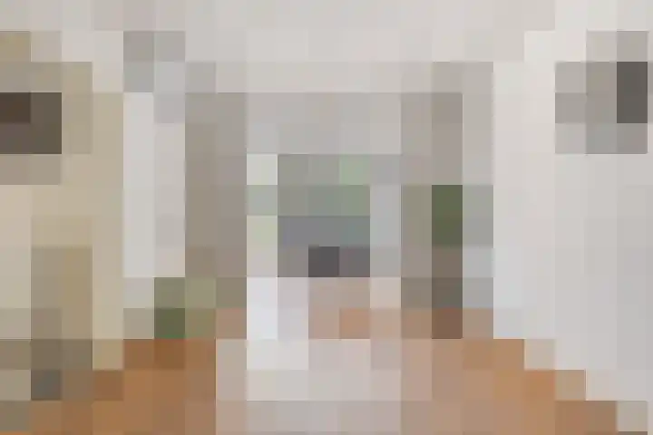 Hagenhof 3 Gemert thumbnail 6