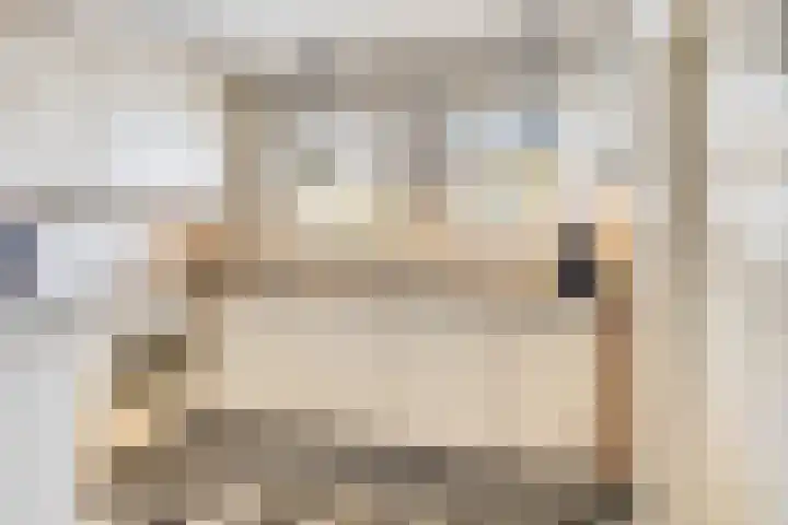 Hagenhof 3 Gemert thumbnail 8