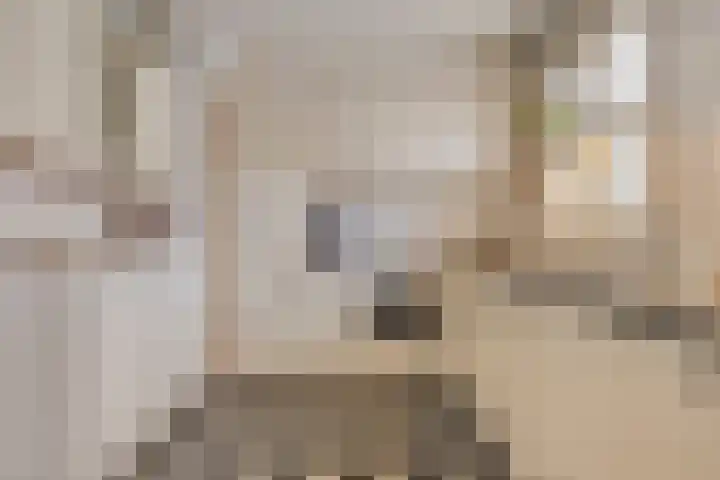 Hagenhof 3 Gemert thumbnail 9