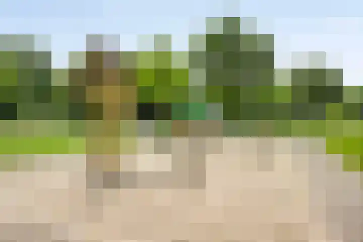 Hagenkampweg Noord 106 B Eindhoven thumbnail 33
