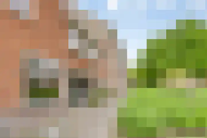 Hagenkampweg Noord 106 B Eindhoven thumbnail 7