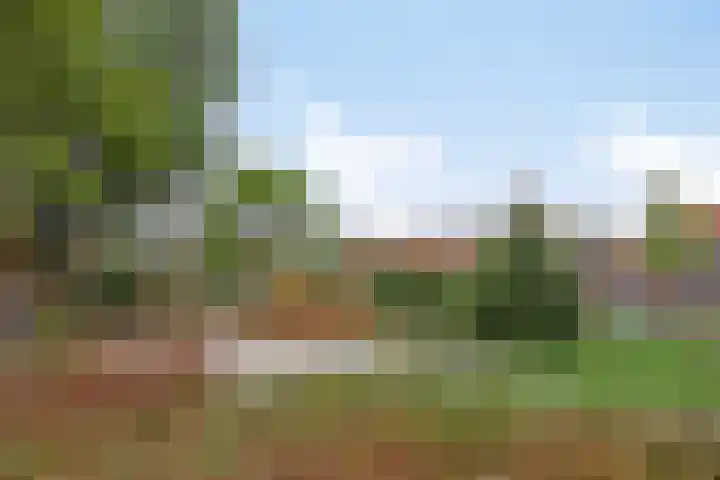 Hagenkampweg Noord 50 Eindhoven thumbnail 26