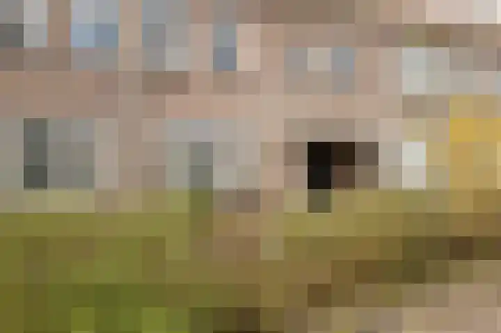 Hagenkampweg Noord 64 A Eindhoven thumbnail 5