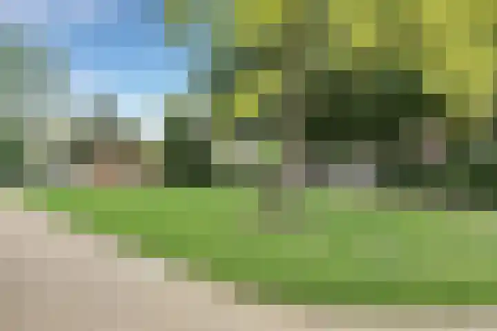 Hagenkampweg Noord 68 Eindhoven thumbnail 42
