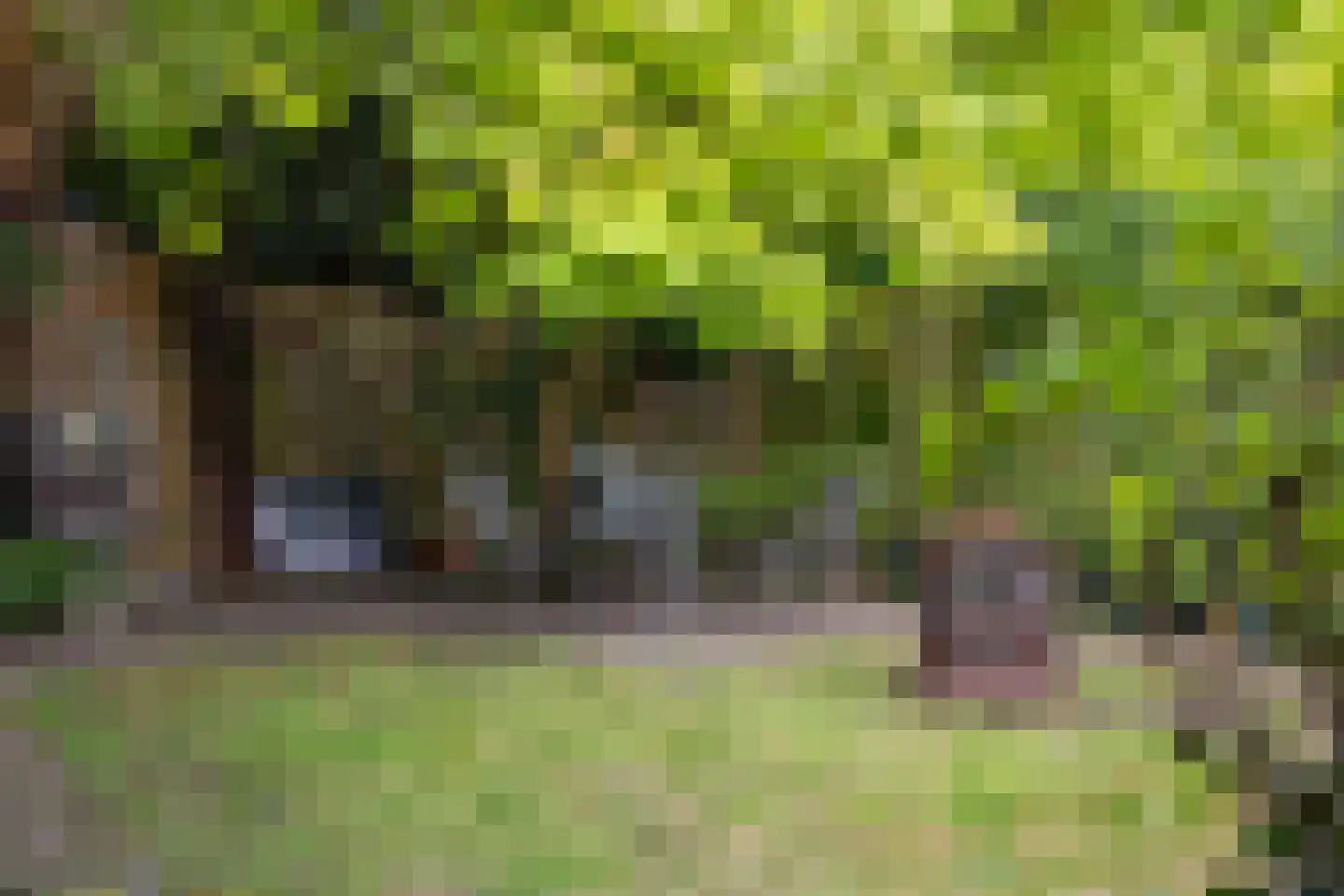 Hagenkampweg Zuid 162 Eindhoven thumbnail 39