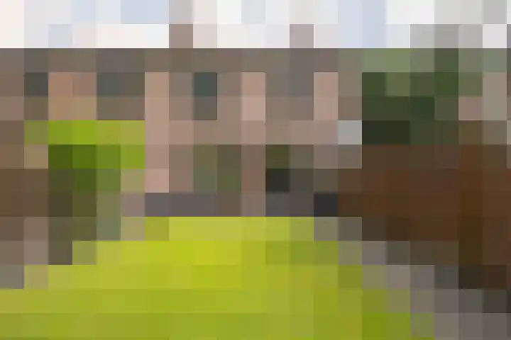Hagenroderstraat 16 Kerkrade thumbnail 18