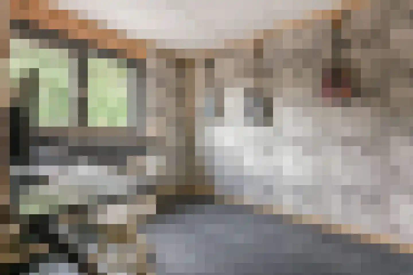 Hagenroderstraat 29 Kerkrade thumbnail 20