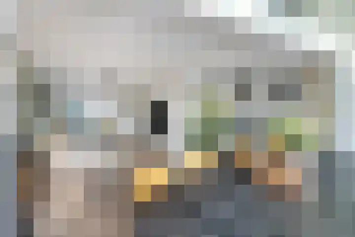 Hagensstraat 4 Sweikhuizen thumbnail 13