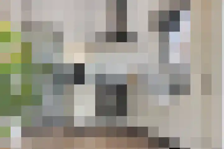 Hagensstraat 4 Sweikhuizen thumbnail 17
