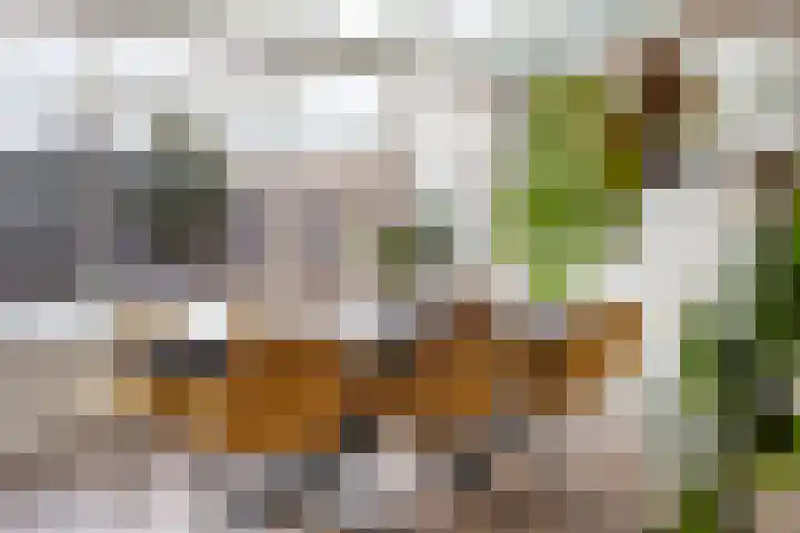 Hagensstraat 4 Sweikhuizen thumbnail 6