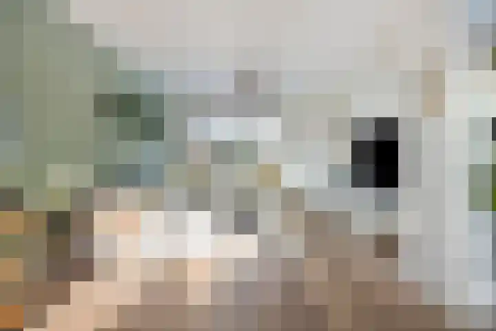 Hagensstraat 4 Sweikhuizen thumbnail 7