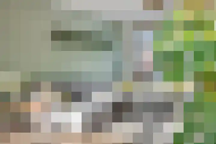 Hagensstraat 4 Sweikhuizen thumbnail 8