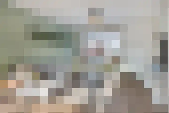 Hagensstraat 4 Sweikhuizen thumbnail 9
