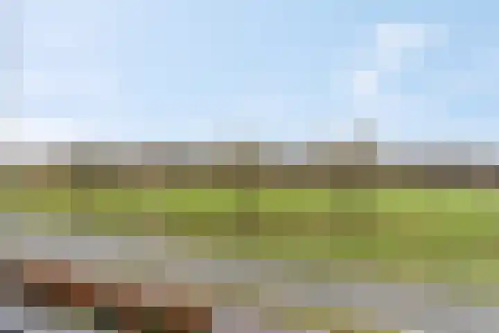 Hagenstein 122 Leusden thumbnail 47