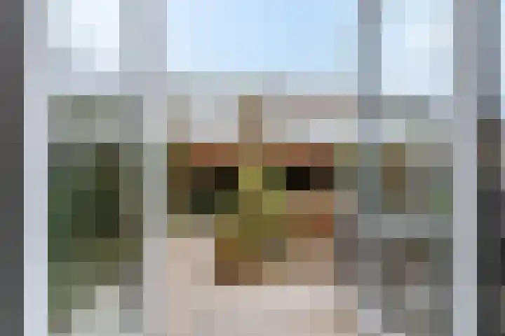 Hagenstein 122 Leusden thumbnail 62
