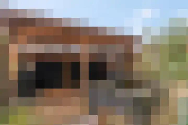 Hagenstein 122 Leusden thumbnail 66