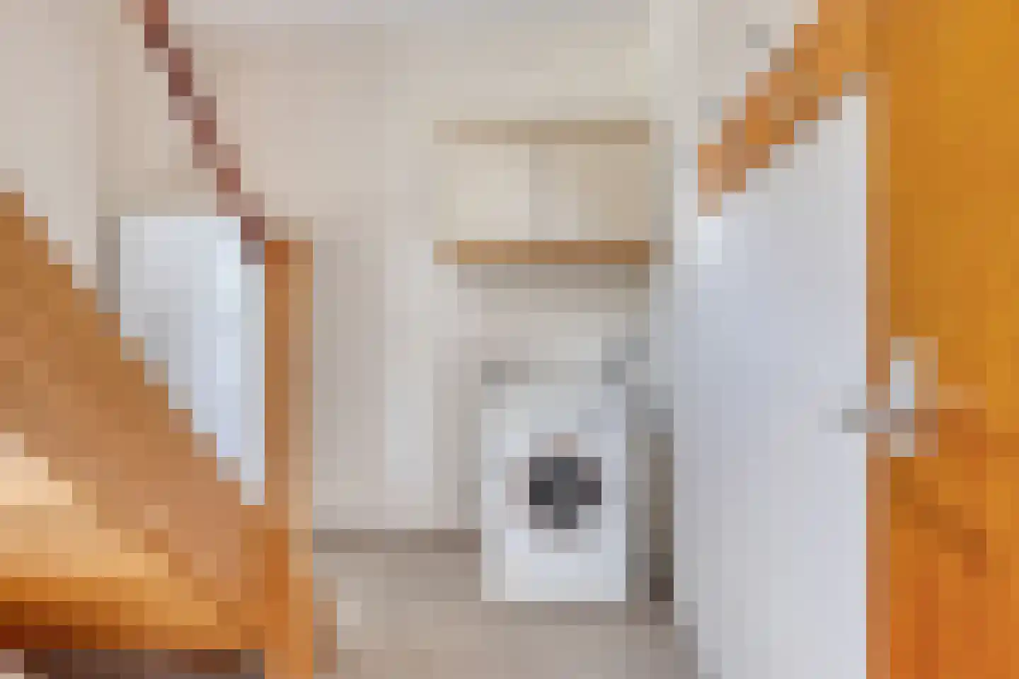 Hagenstraat 7 Lichtenvoorde thumbnail 31