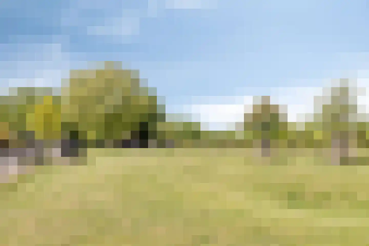 Hagenstraat 7 Lichtenvoorde thumbnail 50