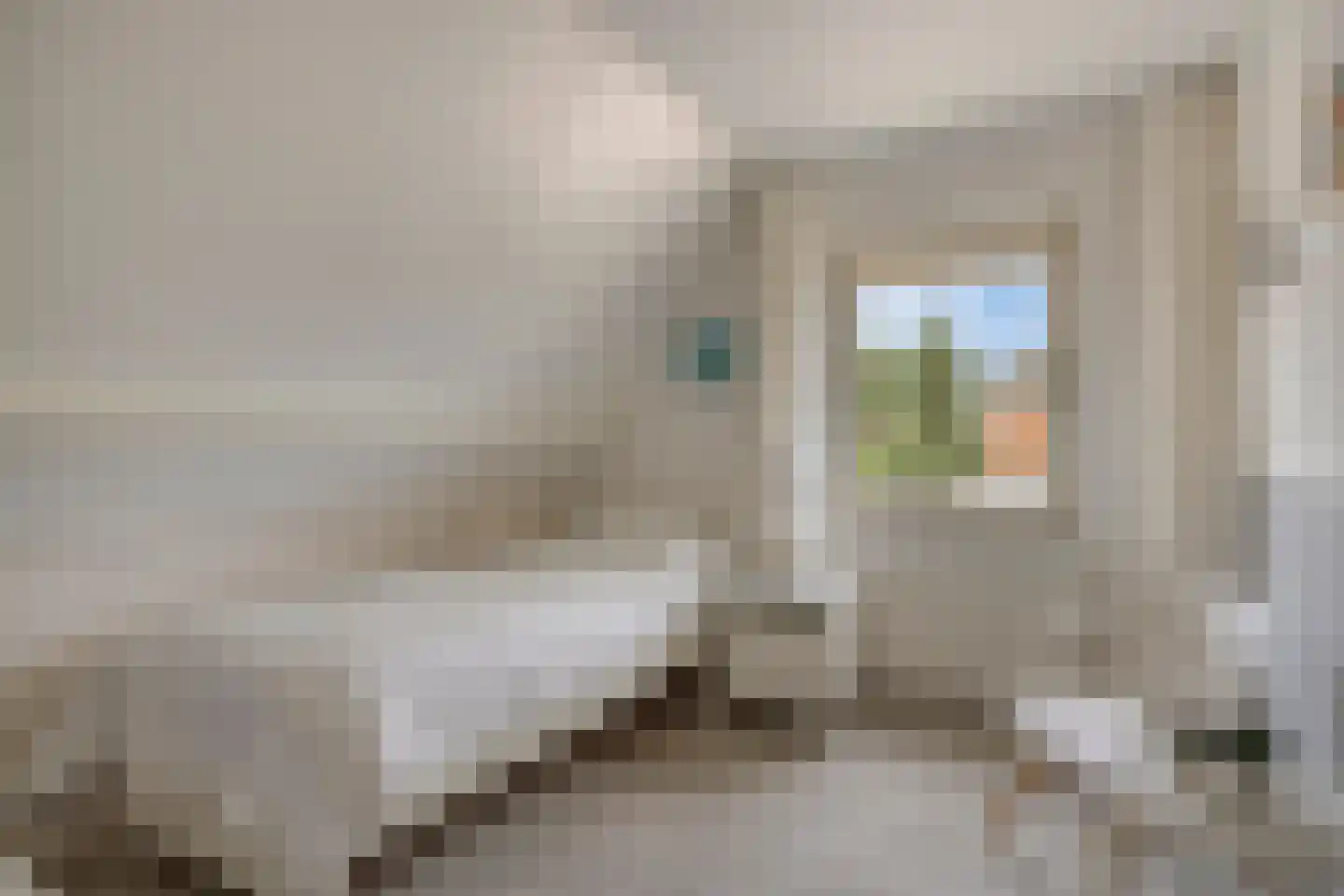 Hagenvoorde 2 Losser thumbnail 26