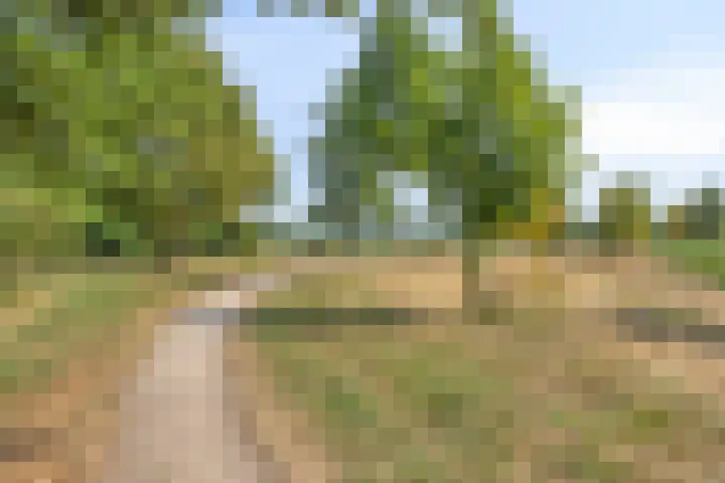Hagenvoorde 2 Losser thumbnail 41