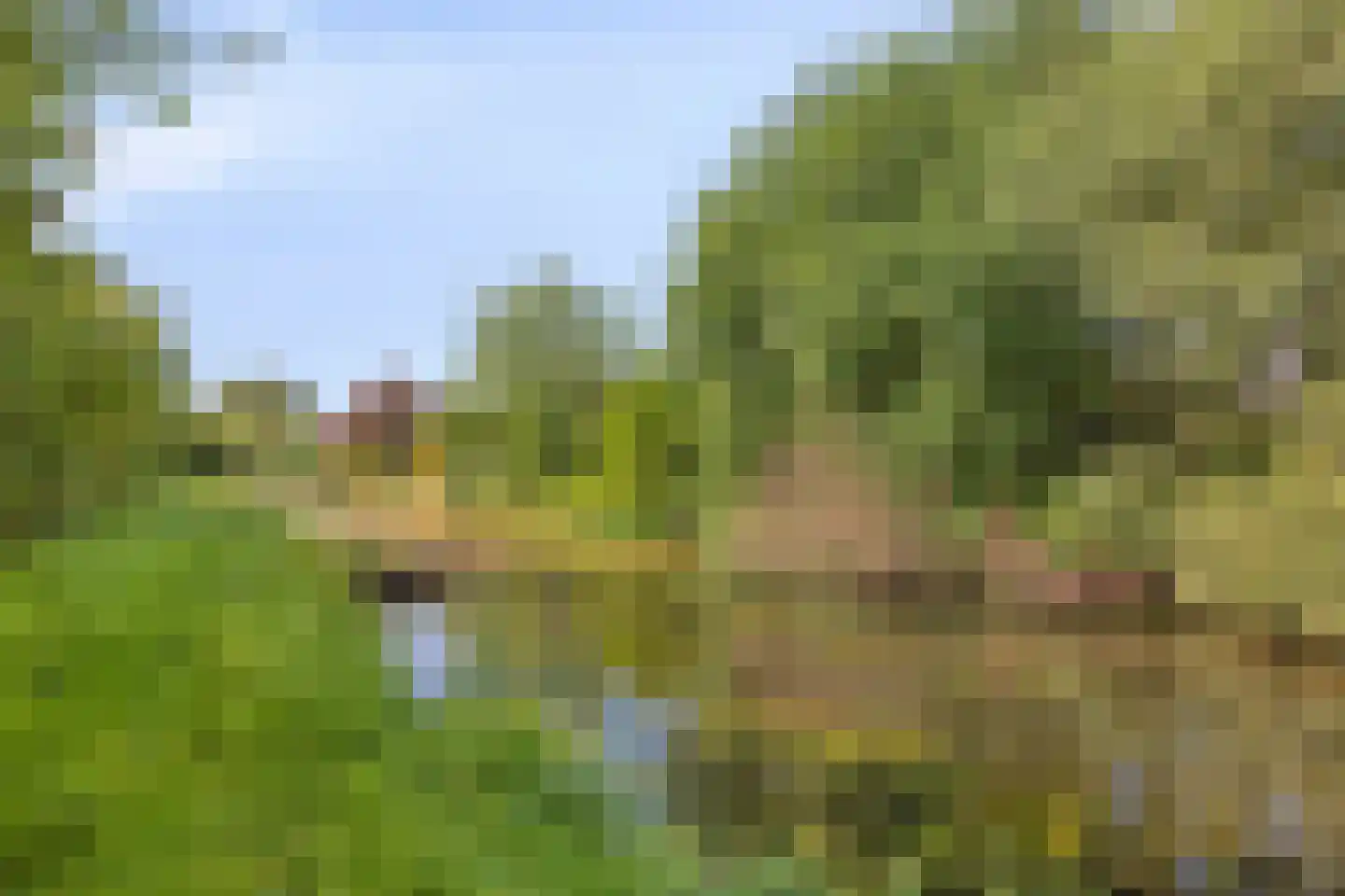 Hagenvoorde 2 Losser thumbnail 42
