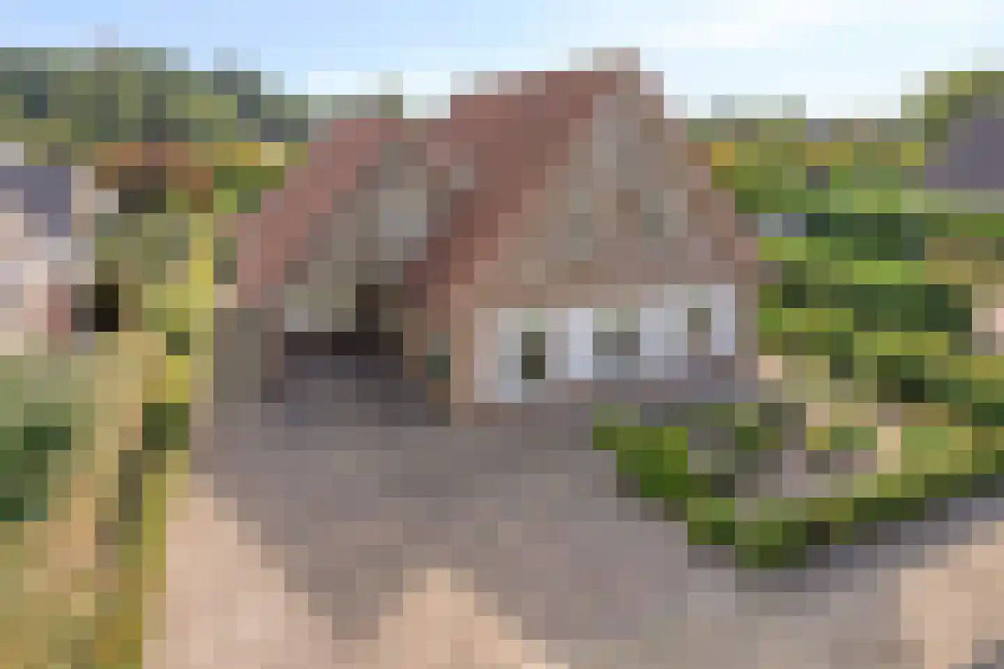 Hagenvoorde 2 Losser thumbnail 43