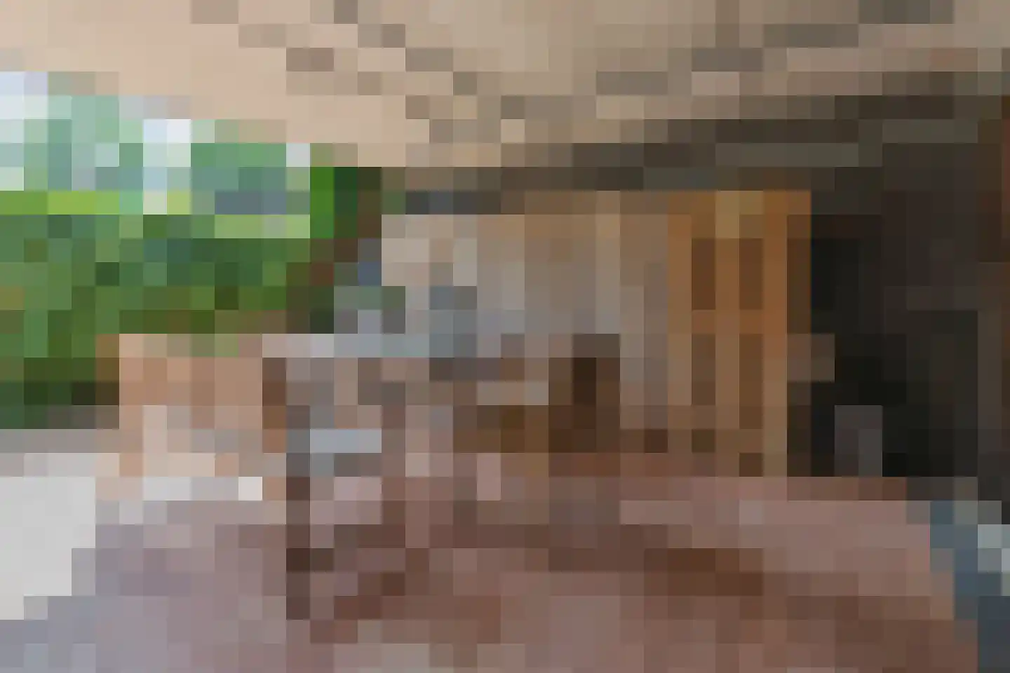 Hagenvoorde 22 Raalte thumbnail 24