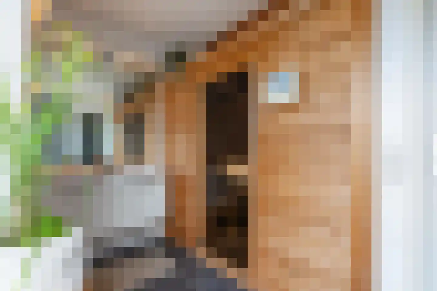 Hagenvoorde 22 Raalte thumbnail 40
