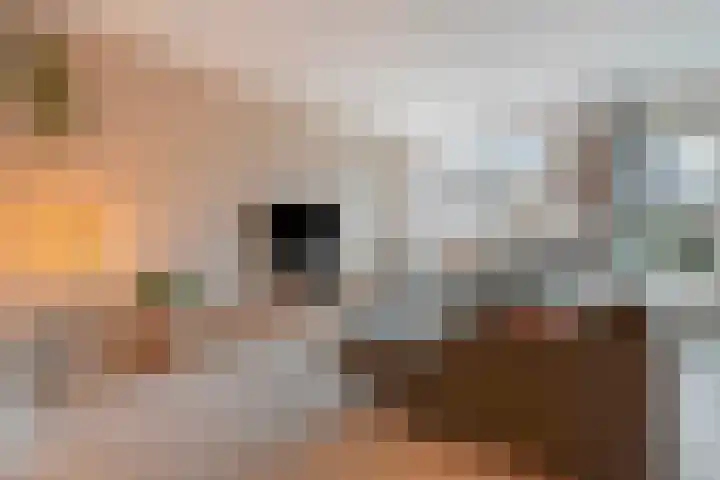 Hagenvoorde 31 Raalte thumbnail 15